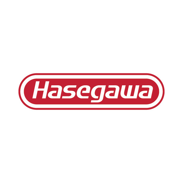 Công Ty TNHH Hasegawa Việt Nam